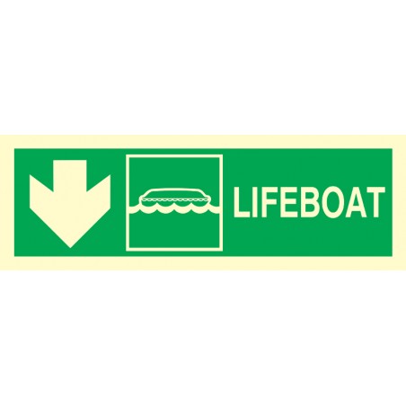 334308 Lifeboat Left Side Arrow Down