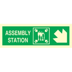 334327  Assembly Station Arrow 45deg Down (R)