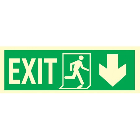 334409 Exit Arrow Down (R)