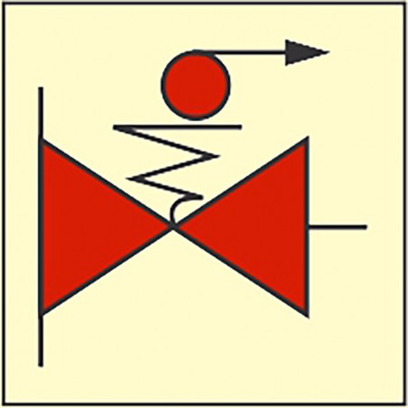 306065 Remote Control Fuel