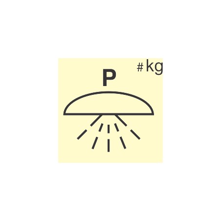 336862 Space Protected By Powder Fire Extinguishing System