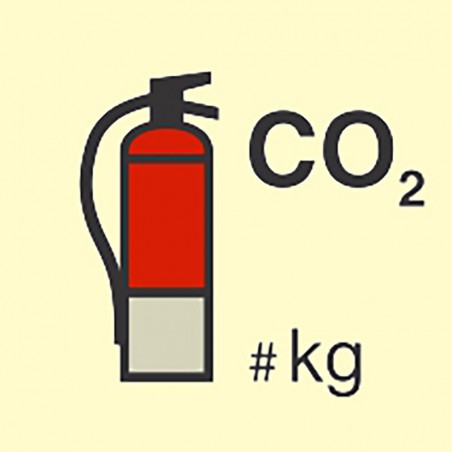 336847 Co2 Fire Extinguisher