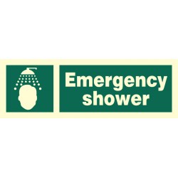 334176 Emergency Shower