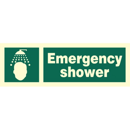 334176 Emergency Shower
